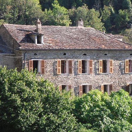 Castello-di-Rostino Chambre D'Hotes La Marlotte المظهر الخارجي الصورة