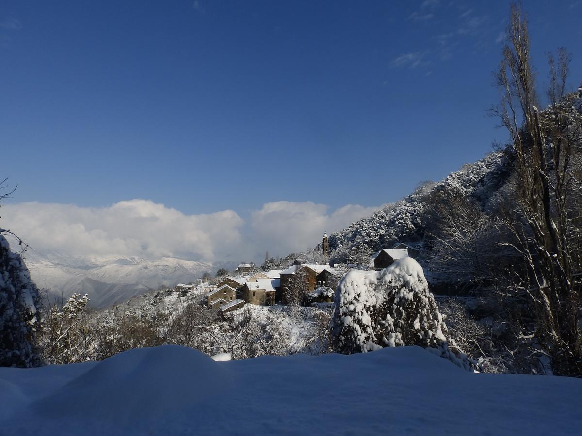 Castello-di-Rostino Chambre D'Hotes La Marlotte المظهر الخارجي الصورة